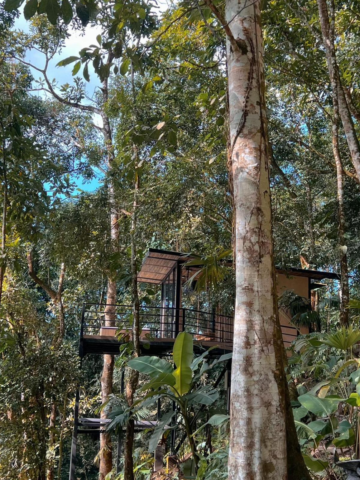 Rincon De La Sierra Minca Hotel Екстериор снимка