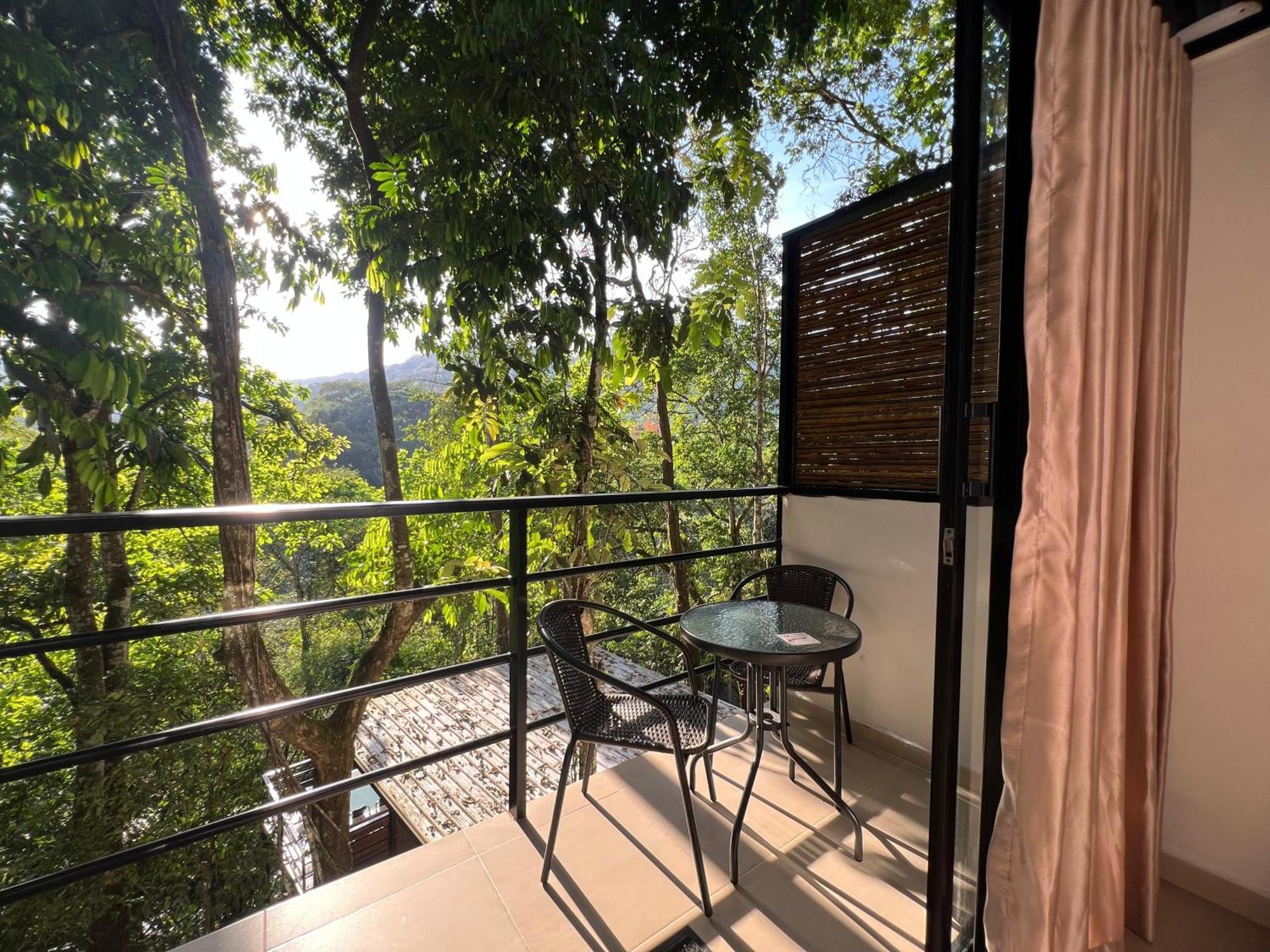 Rincon De La Sierra Minca Hotel Екстериор снимка