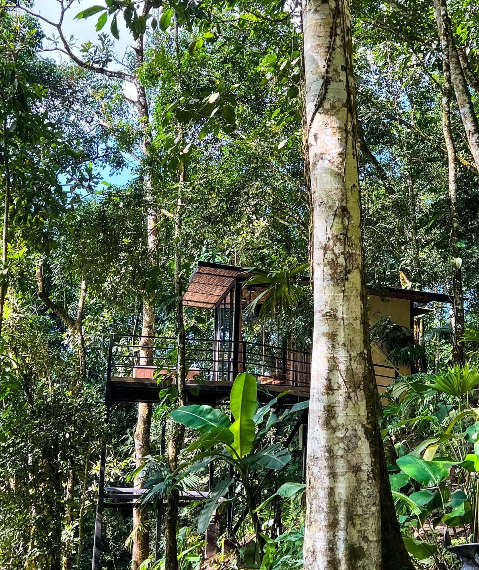 Rincon De La Sierra Minca Hotel Екстериор снимка